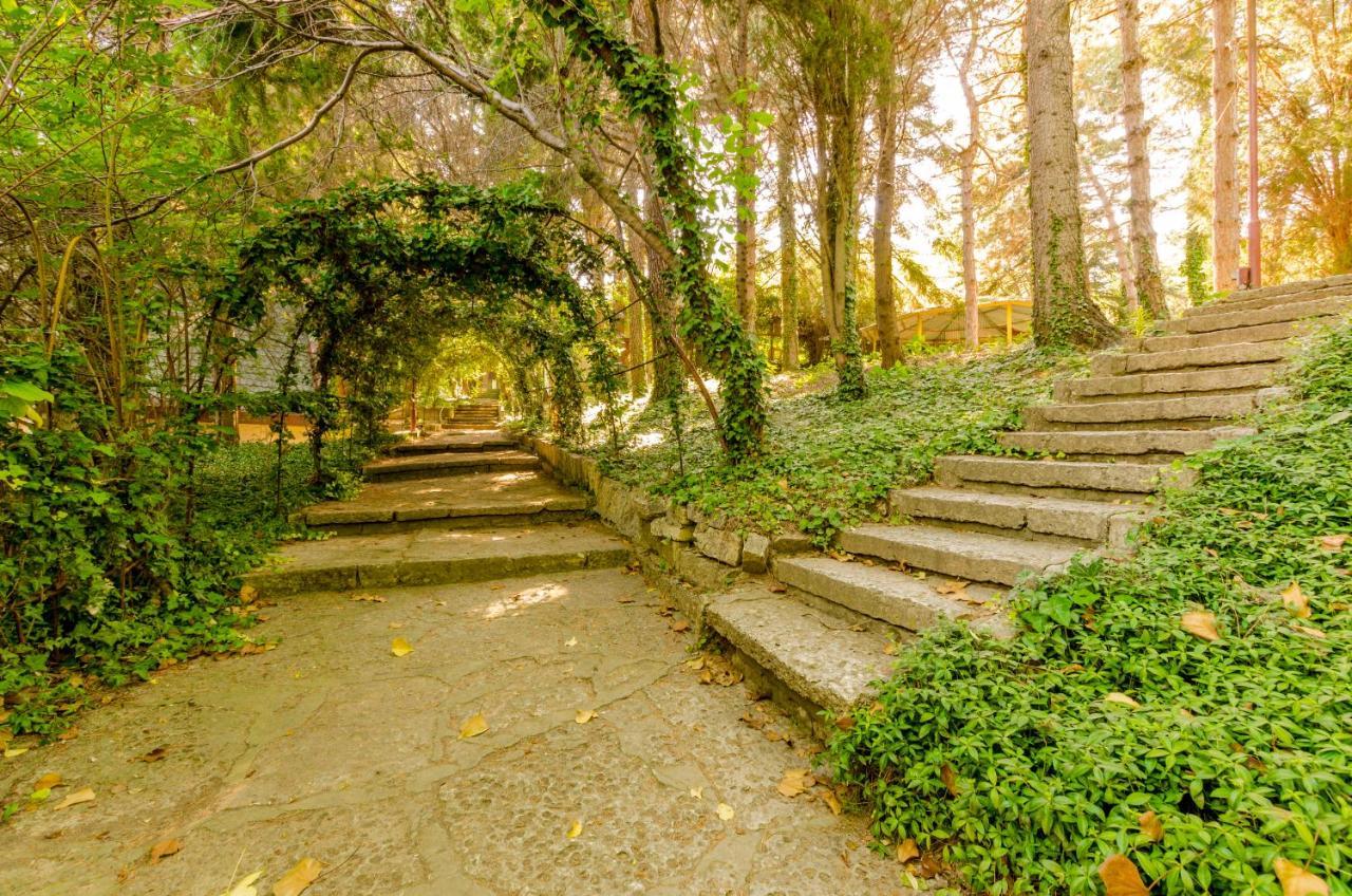 ホテルPark Complex Viktoria バルチク エクステリア 写真